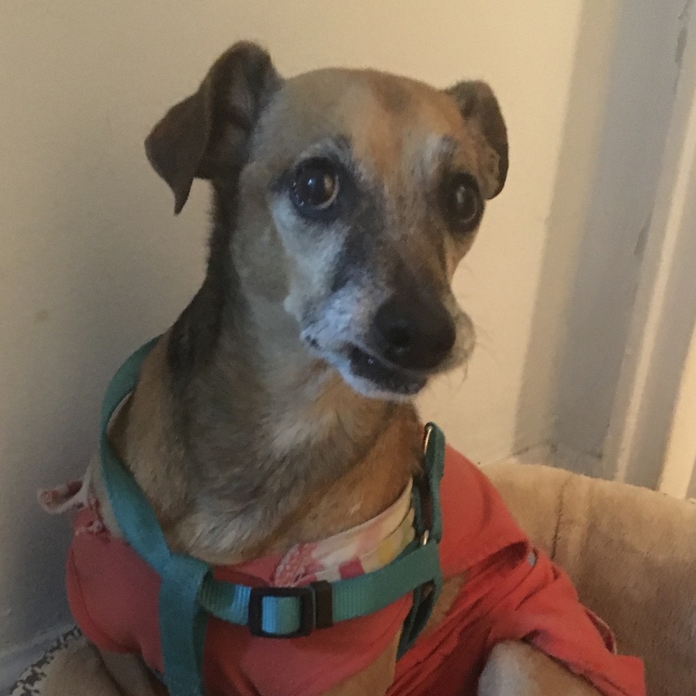 Meet your Posher, Raschelle